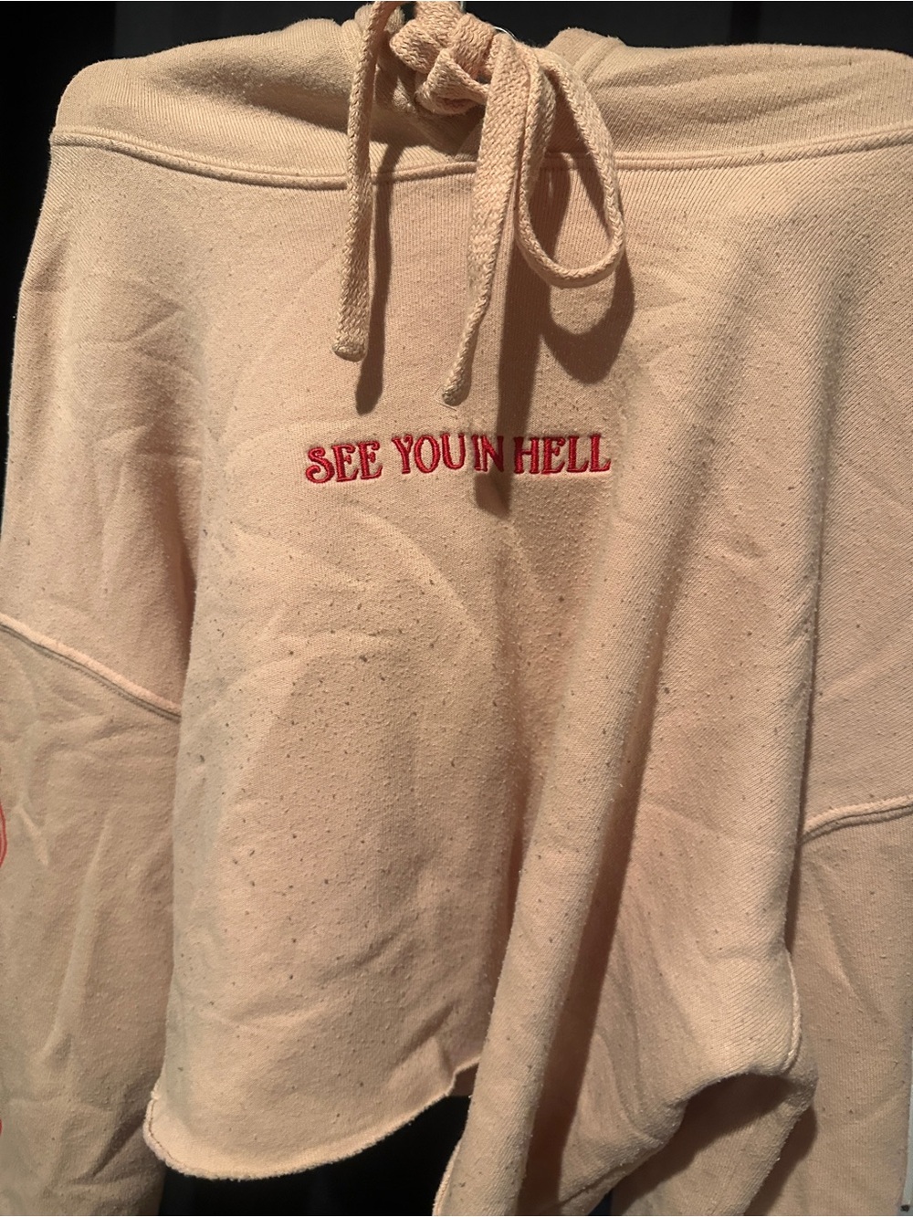 Valfre Peach Cropped Hoodie with Red Embroidery